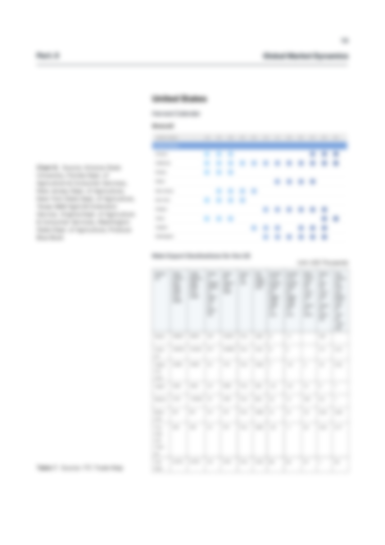 report template-0127-broccoli14.png