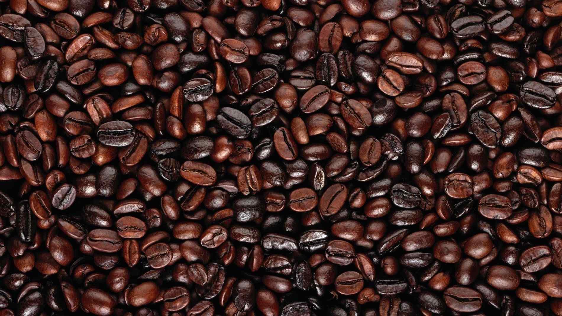 Roasted Coffee Beans