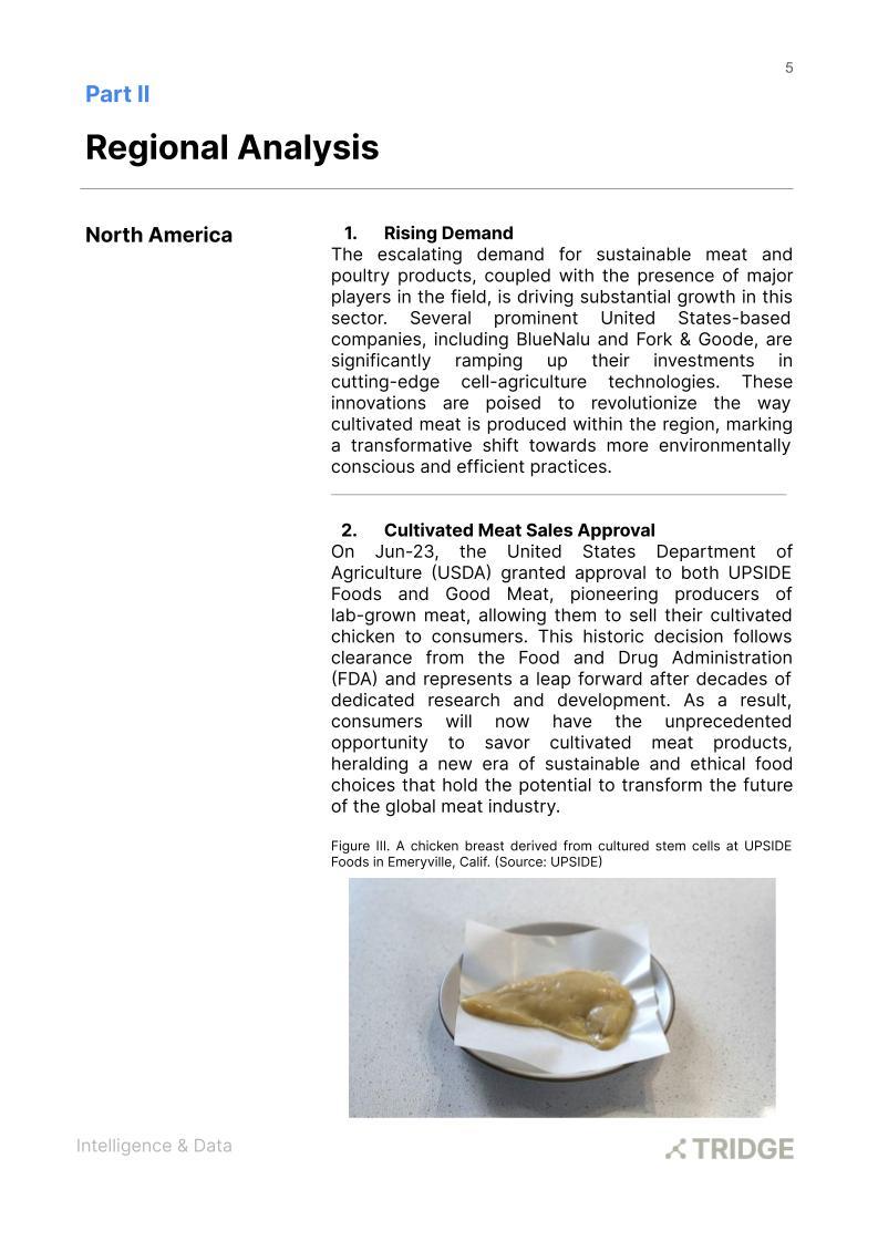 Cultivated Protein Report (1).jpg