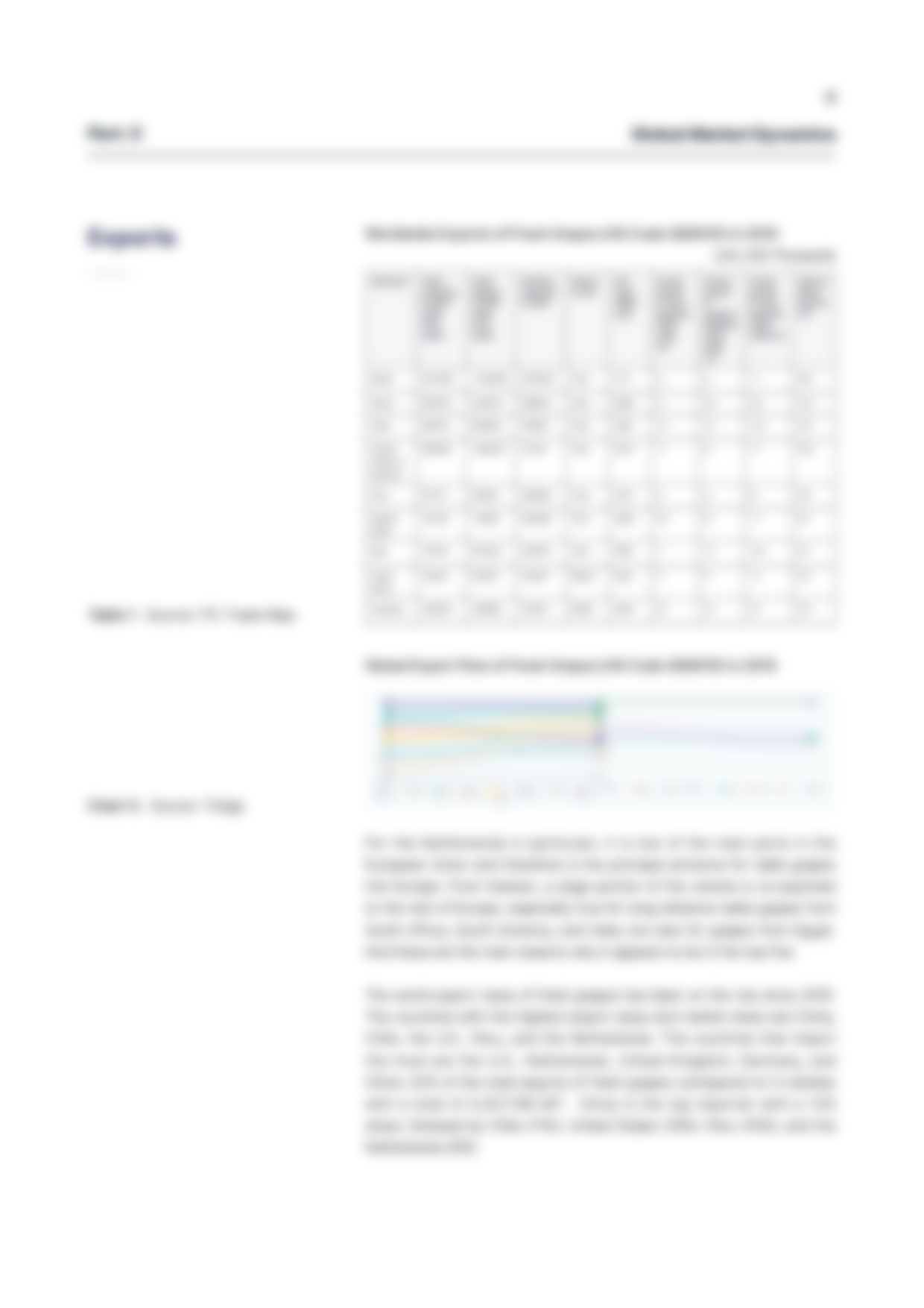 report template-0204-grapes9.png