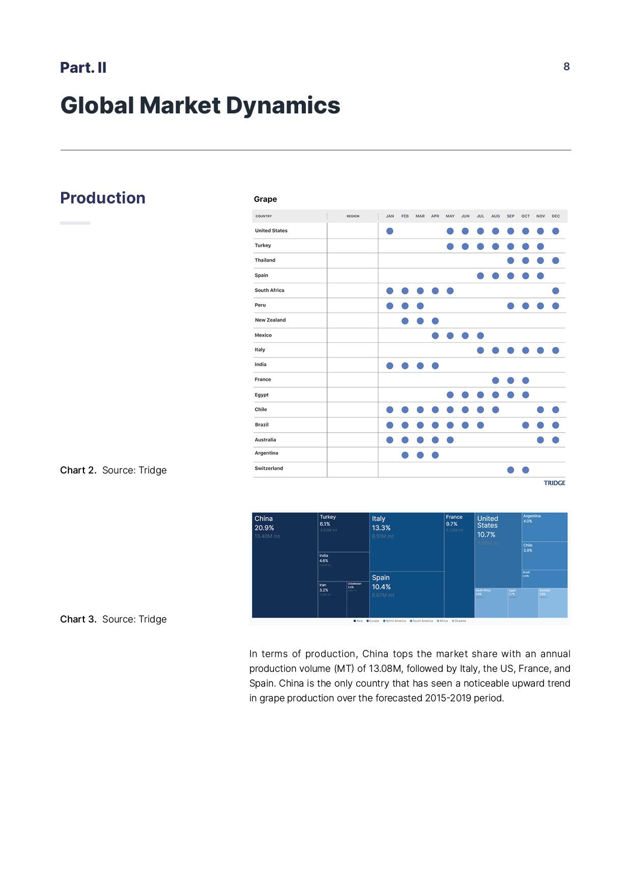 report template-0204-grapes8.jpg