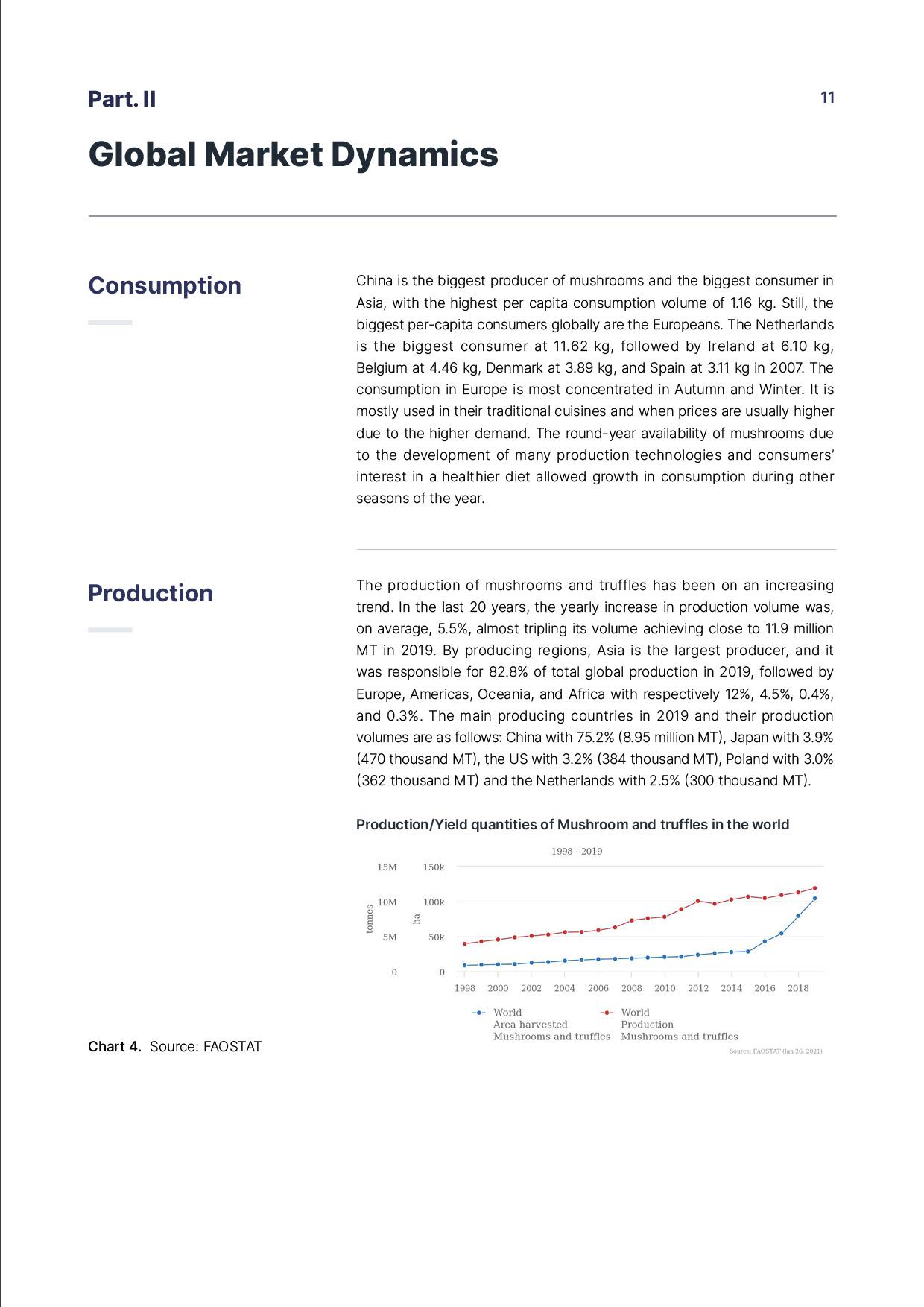 report template-0202-mushroom11.jpg