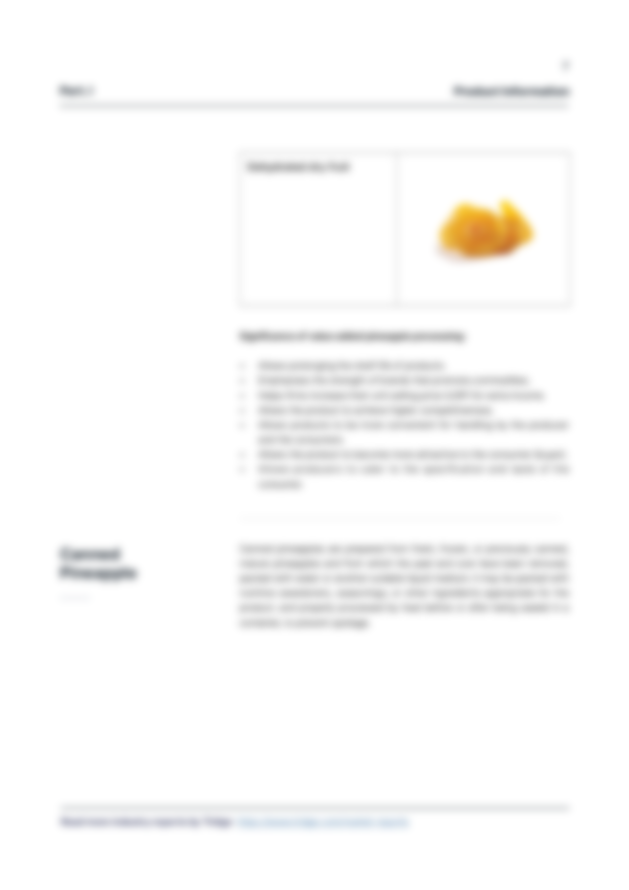 report template-0614-value-added-pineapple7.png