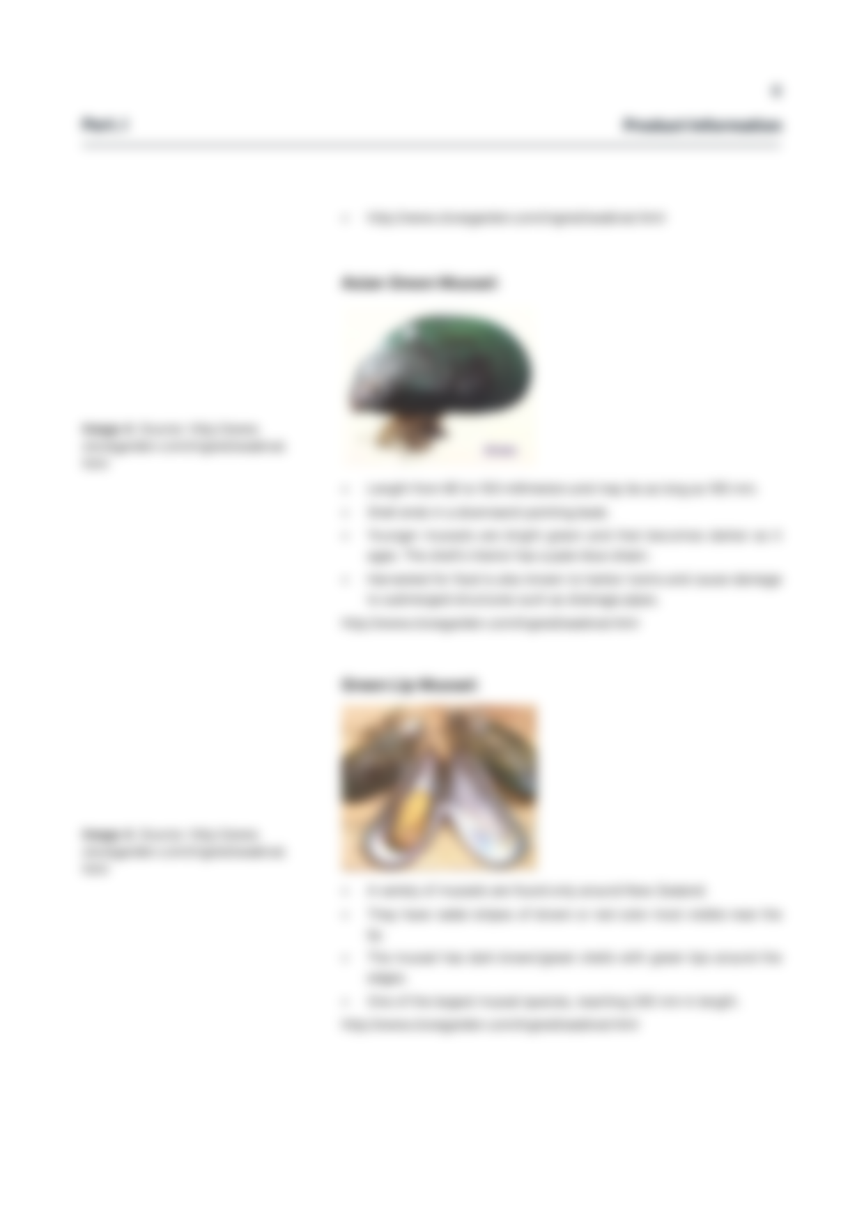 report template-0219-mussel_Changed6.png