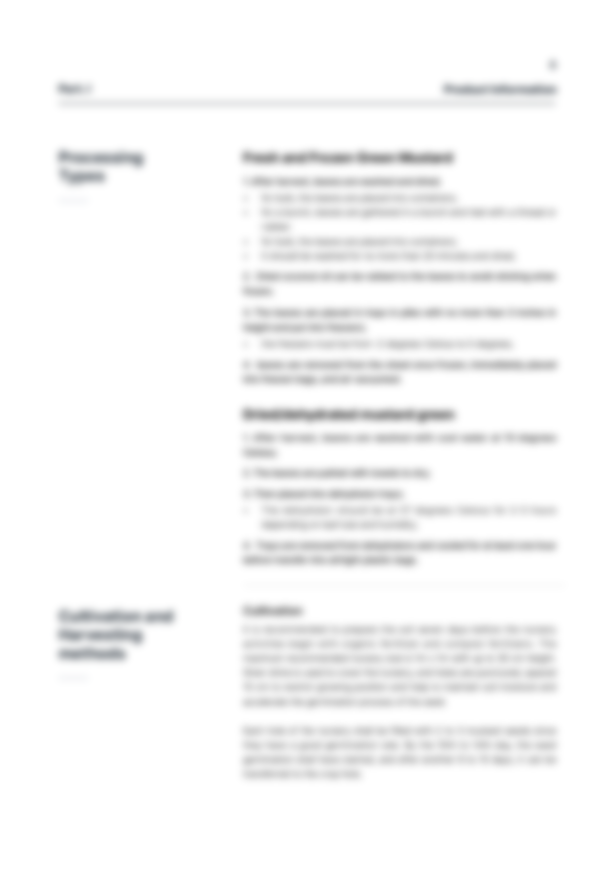 report template-0401-mustardgreen_0406JC8.png