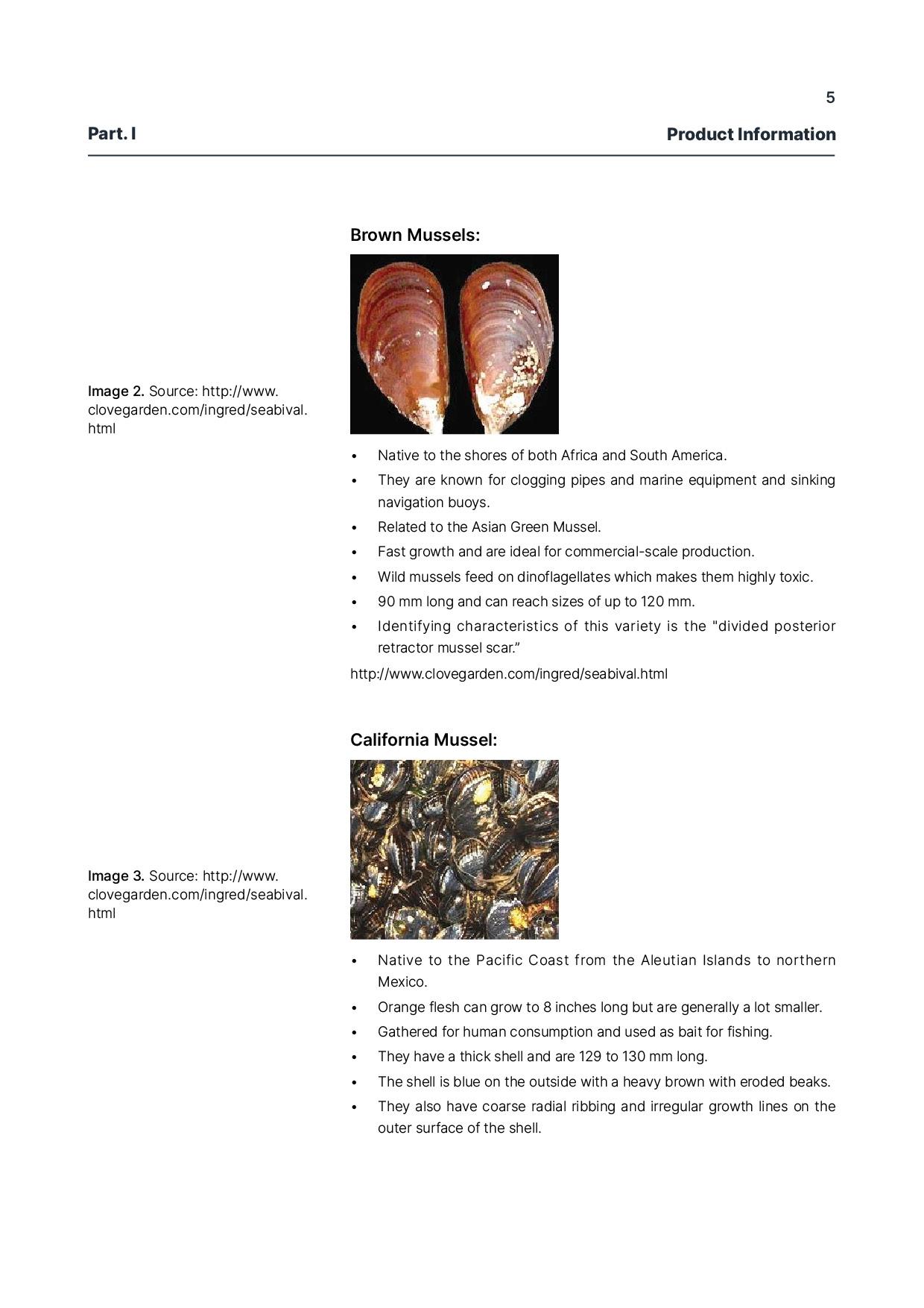 report template-0219-mussel_Changed5.jpg