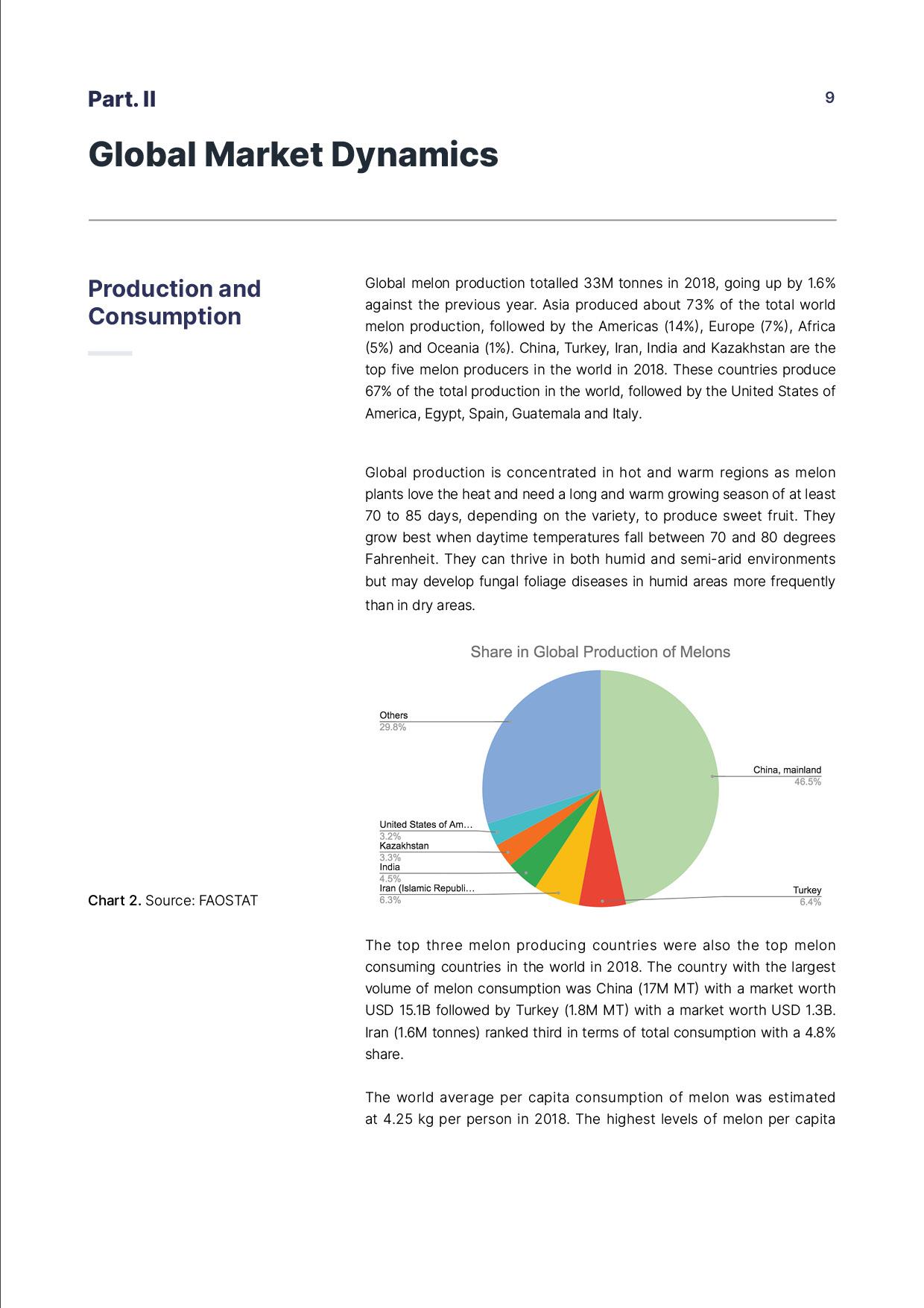 report template-0120-melon9.jpg