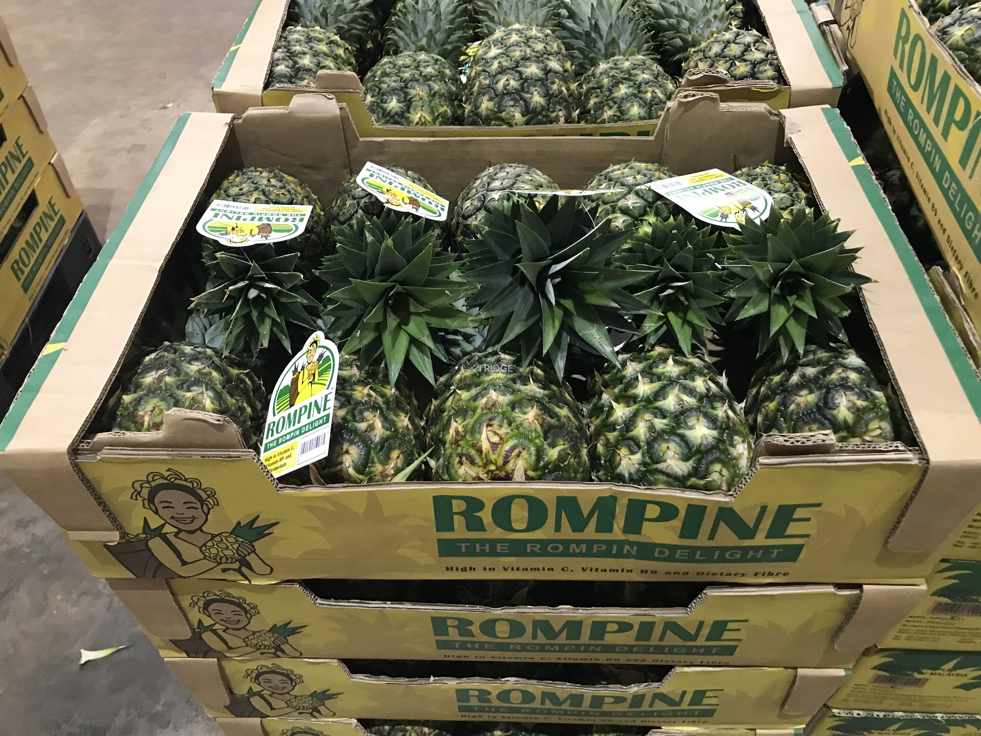 Rompin Integrated Pineapple Industries Sdn Bhd, Malaysia Tridge