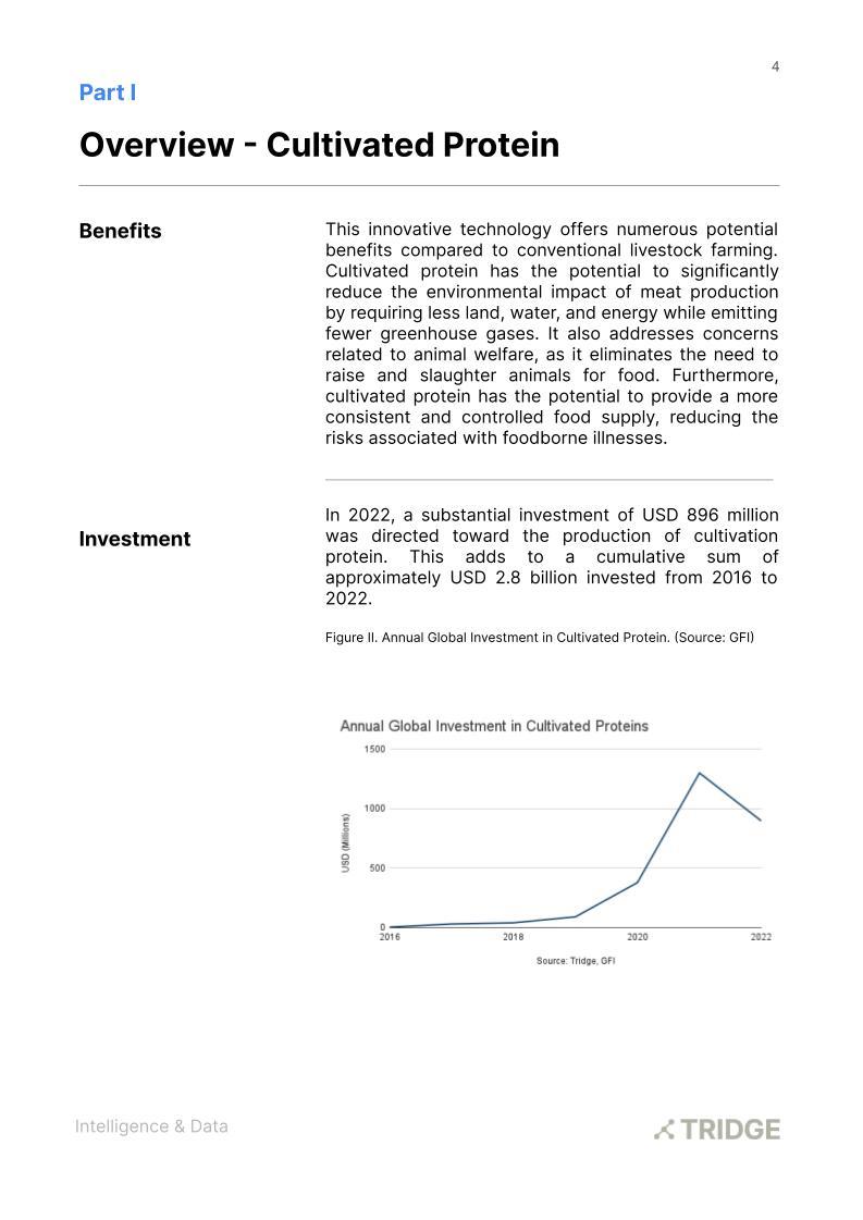 Cultivated Protein Report.jpg