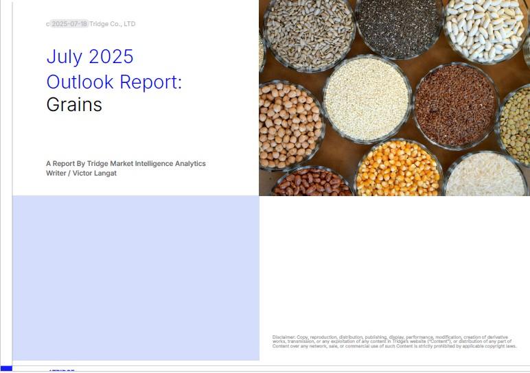 Grains 1 July 2025.jpg