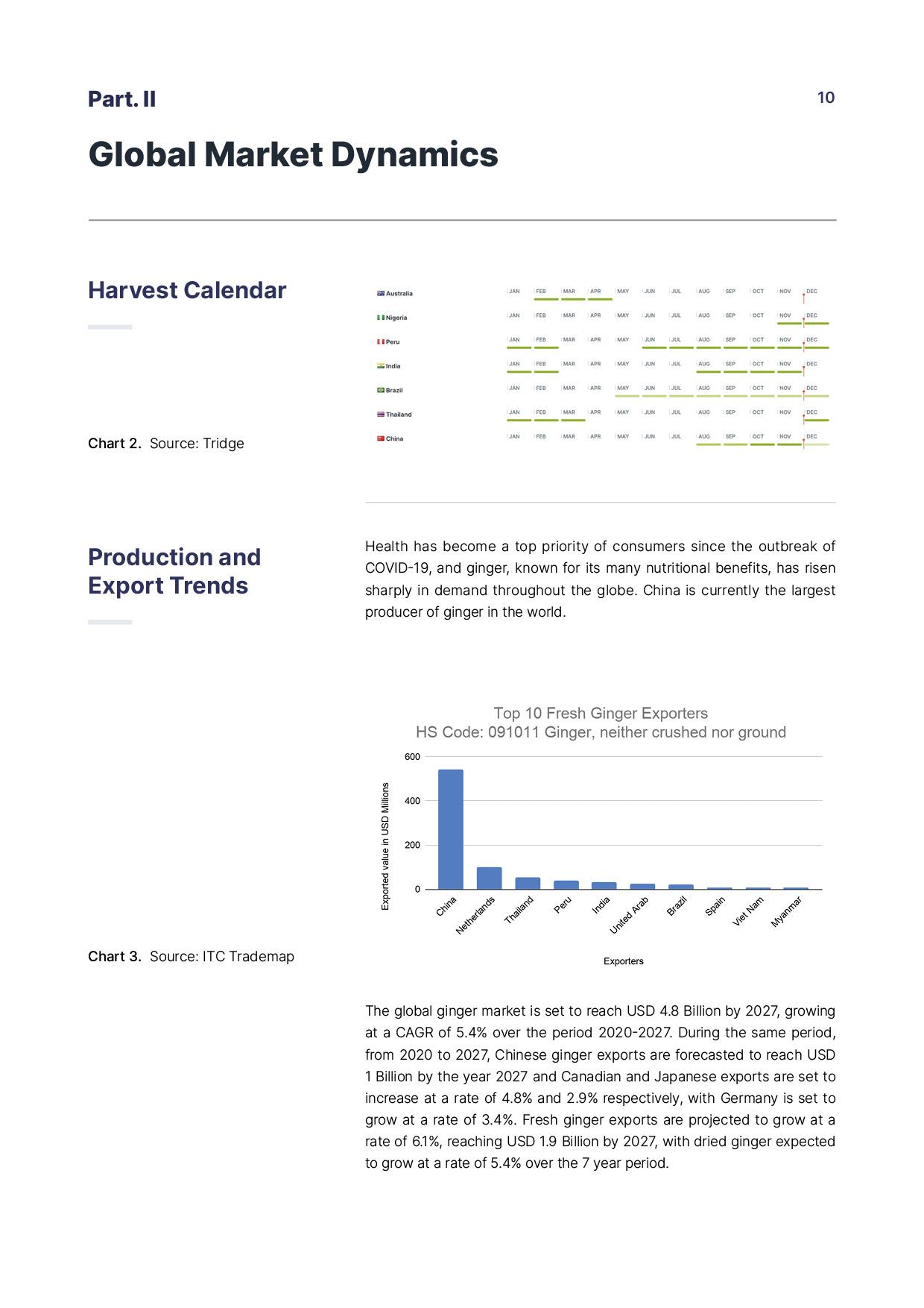 Ginger Report Draft 2 (1)10.jpg