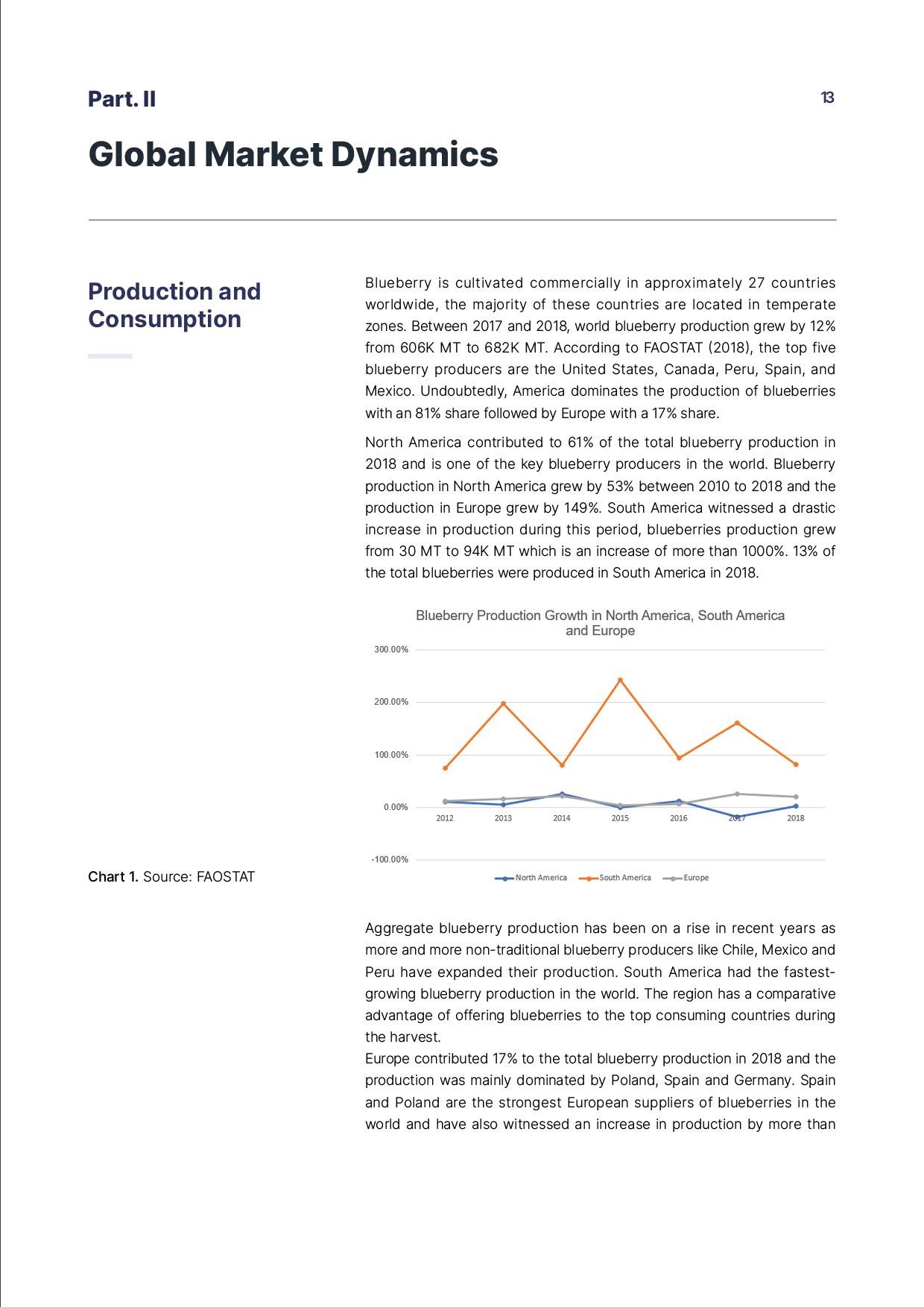 report template-1115-blueberry13.jpg