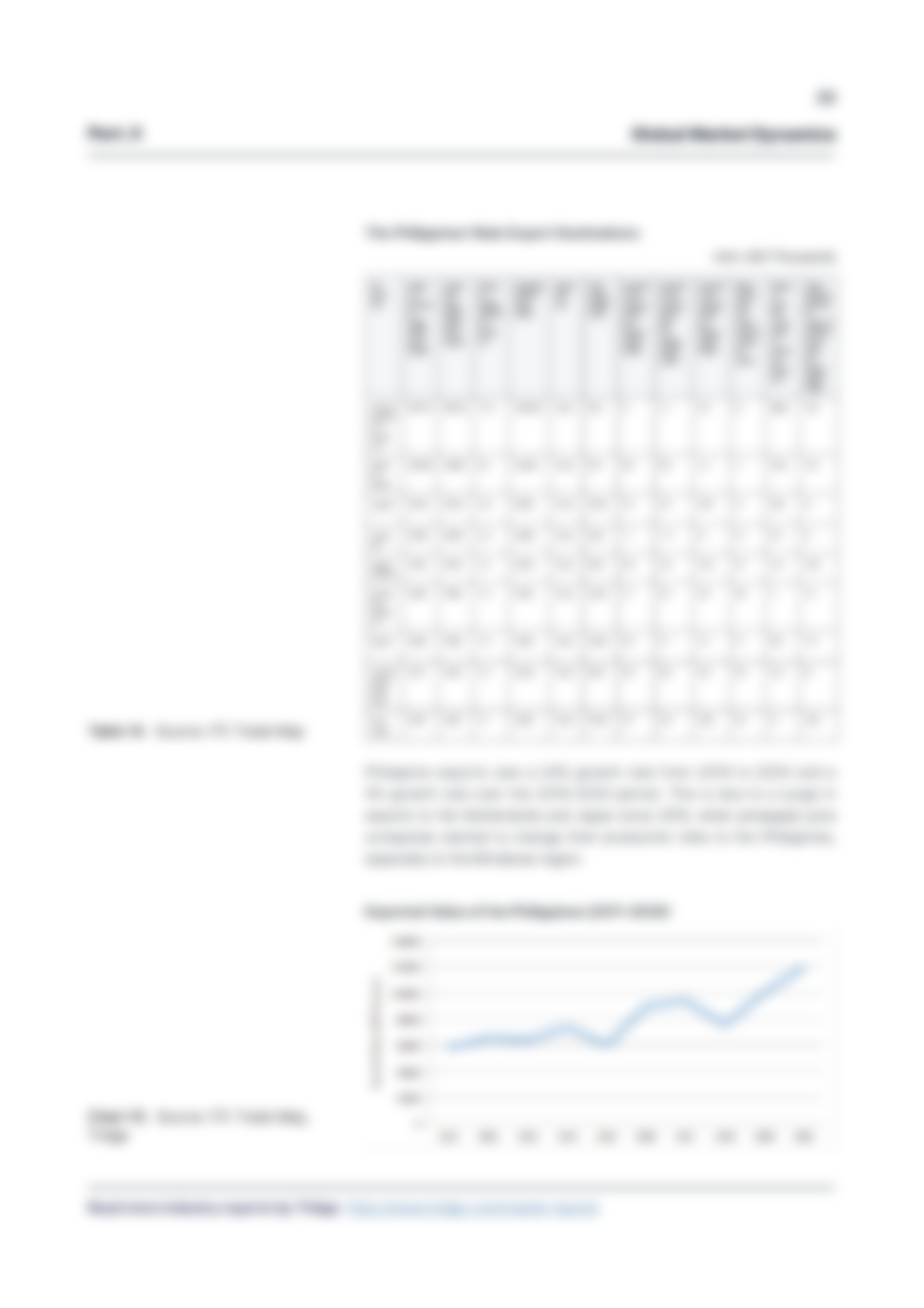 report template-0614-value-added-pineapple28.png