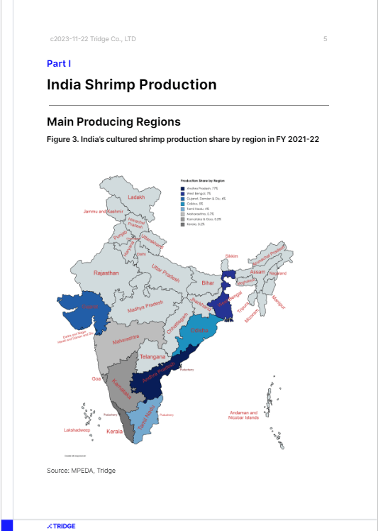 India Shrimp Report - Sample1.png