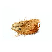 코코아 코이어 image