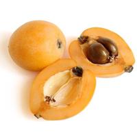 Loquat image