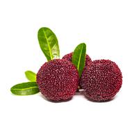 Chinese Bayberry image