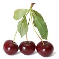 Fresh Sour Cherry image