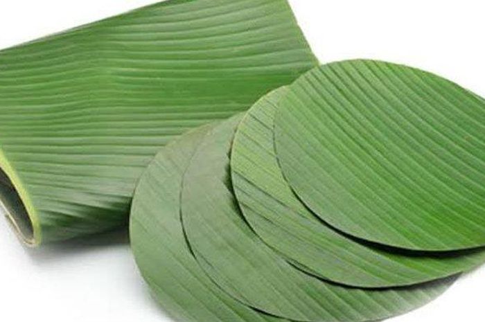 ilustrasi-daun-pisangjpg-20210524032624.jpg