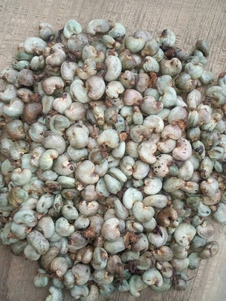 Raw Cashew.jpeg