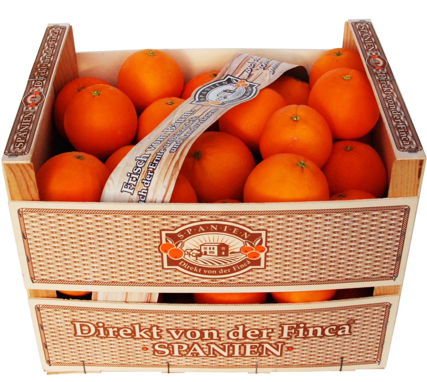 Direkt-von-der-Finca_Orangen.jpg