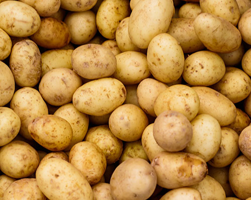 irtoperunat-potato-varieties.jpg