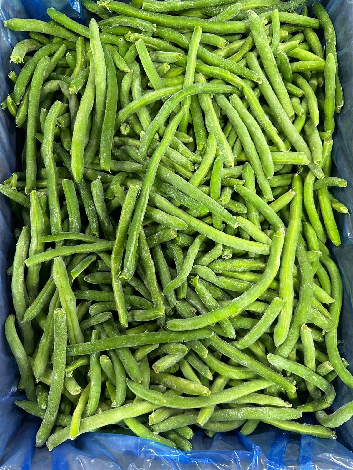 Whole green beans  (3).jpg