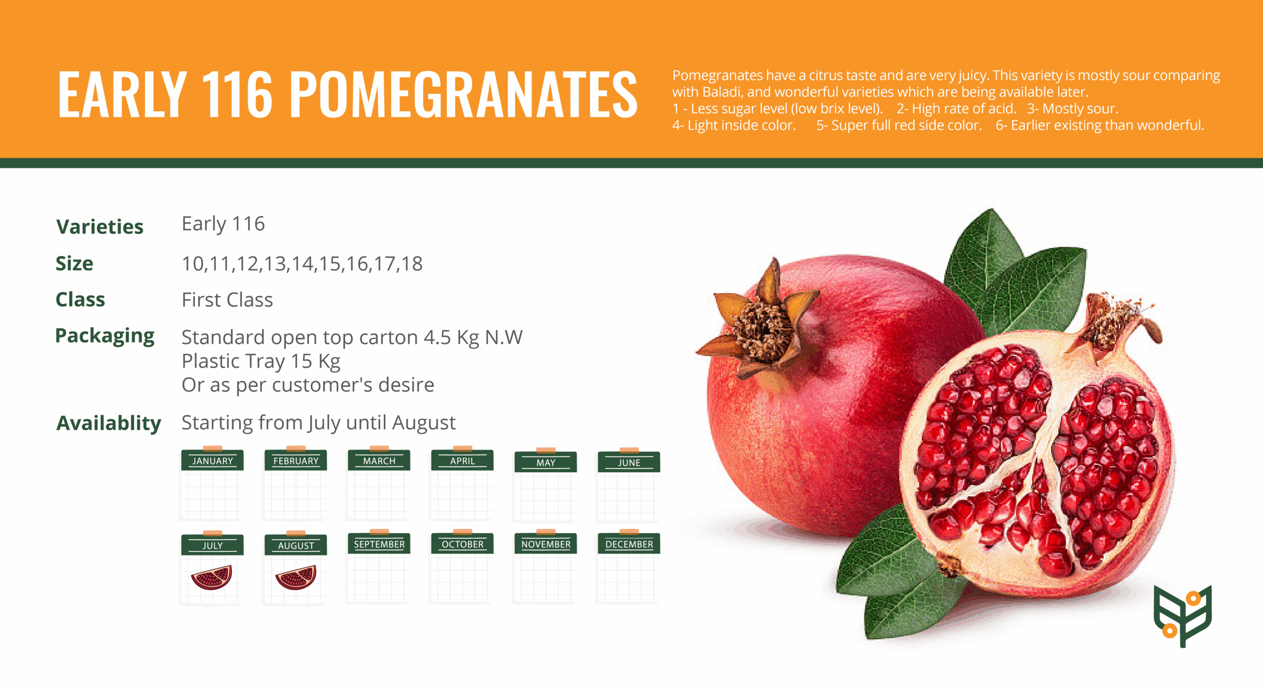EARLY-116-POMEGRANATES-1-scaled.png