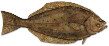 fletan-atlantique.jpg