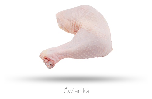 cwiartka.png