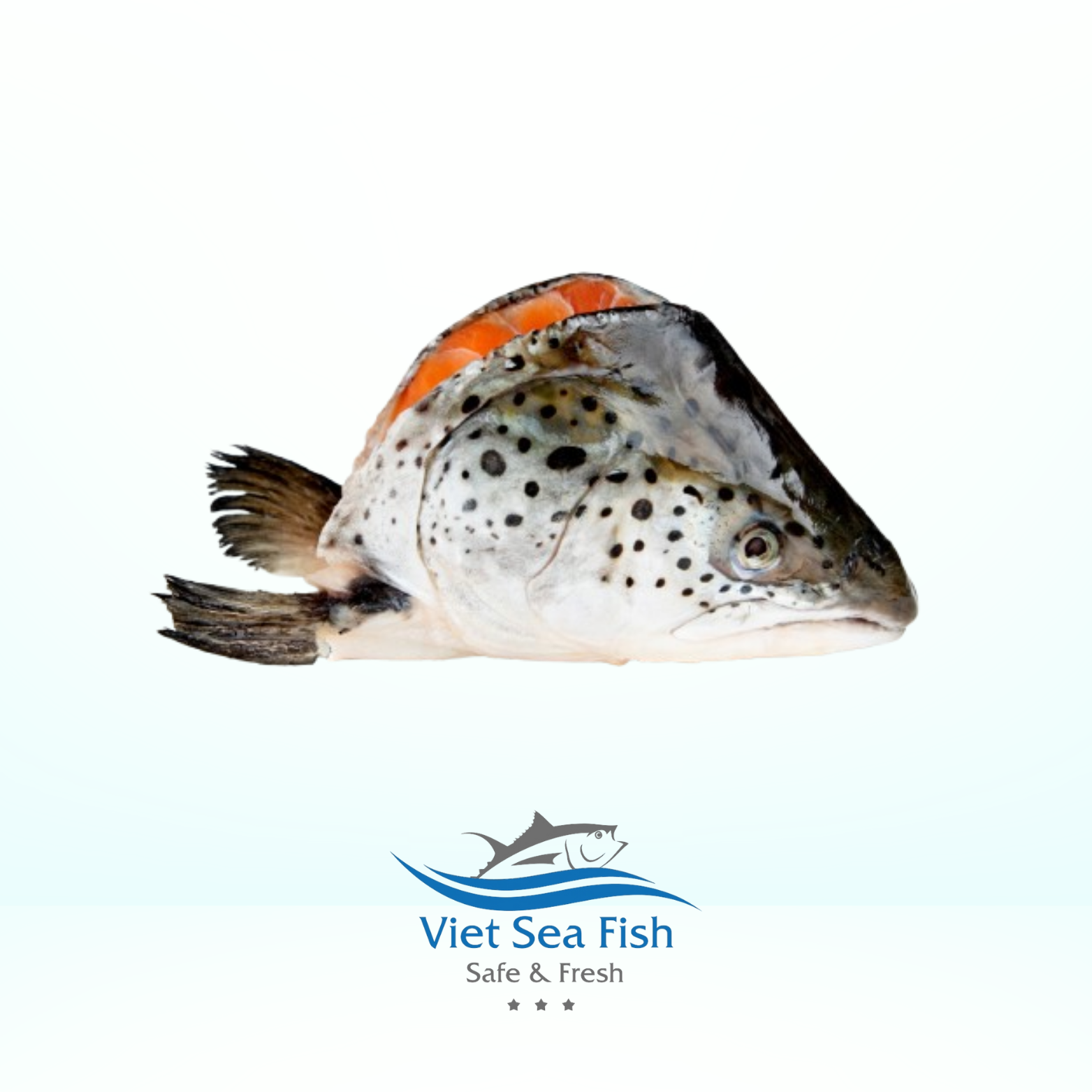 Salmon Head.png