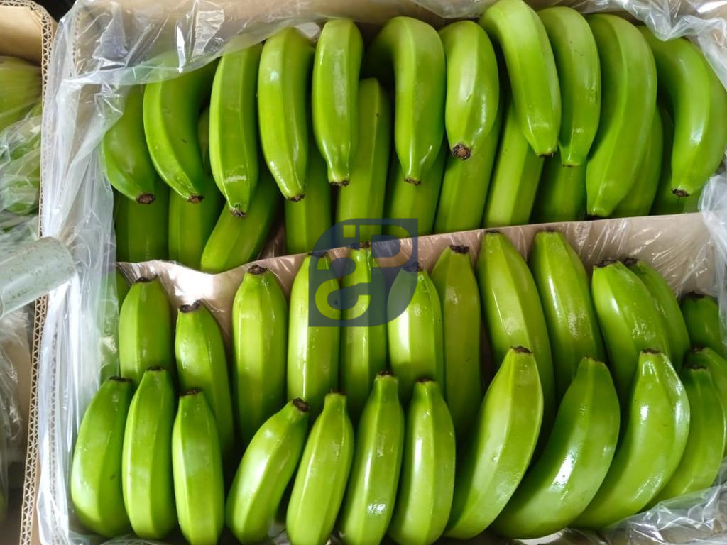 Bananas #11 - Standard & Partners.jpg