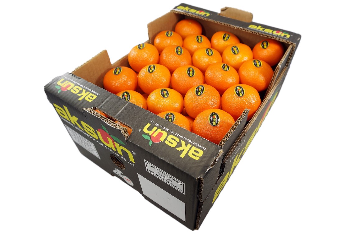 Mandora Aksun Boxes 1.jpg
