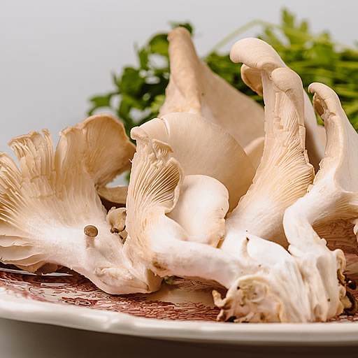 mushroom-oyster.jpg