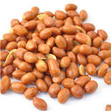 peanut 3.jpg