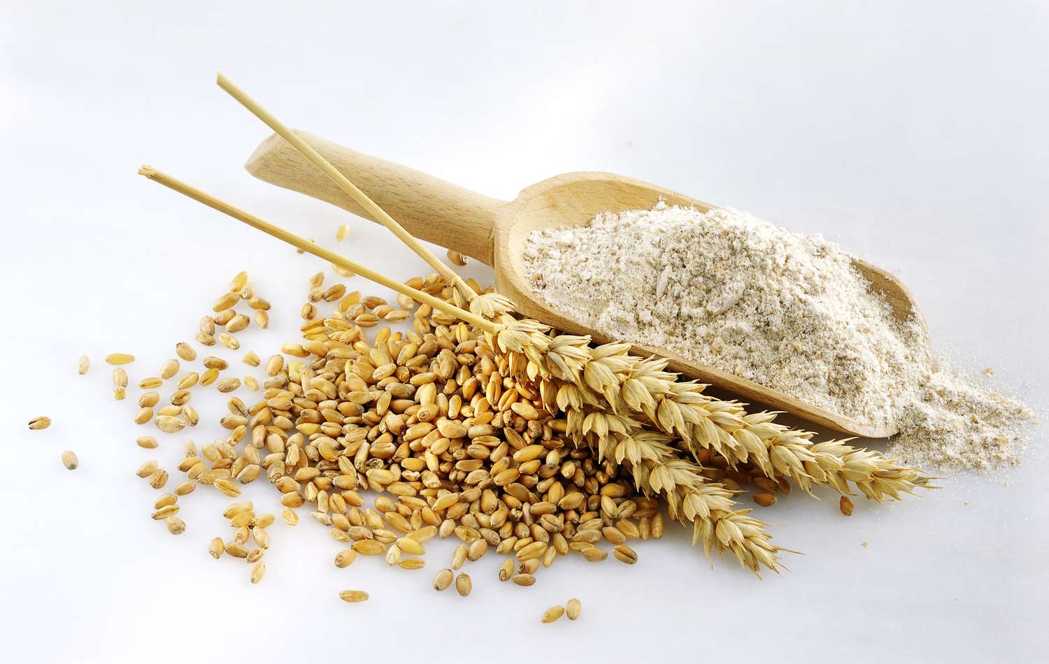 Wheat F..jpg