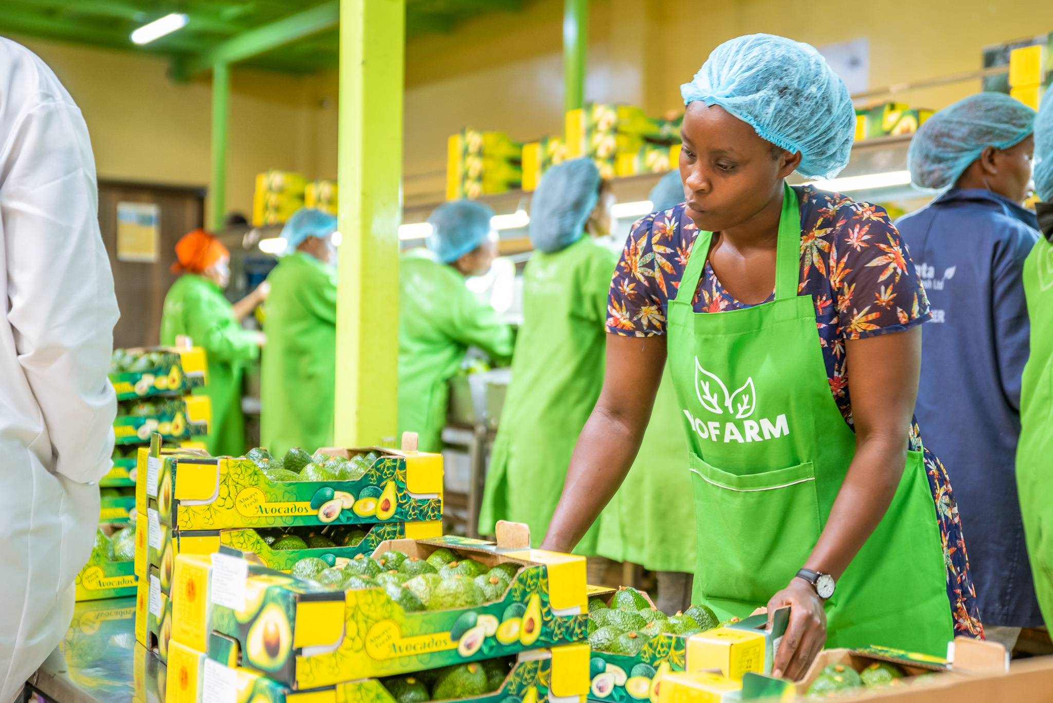 Yo Farm Packaging -14.jpg