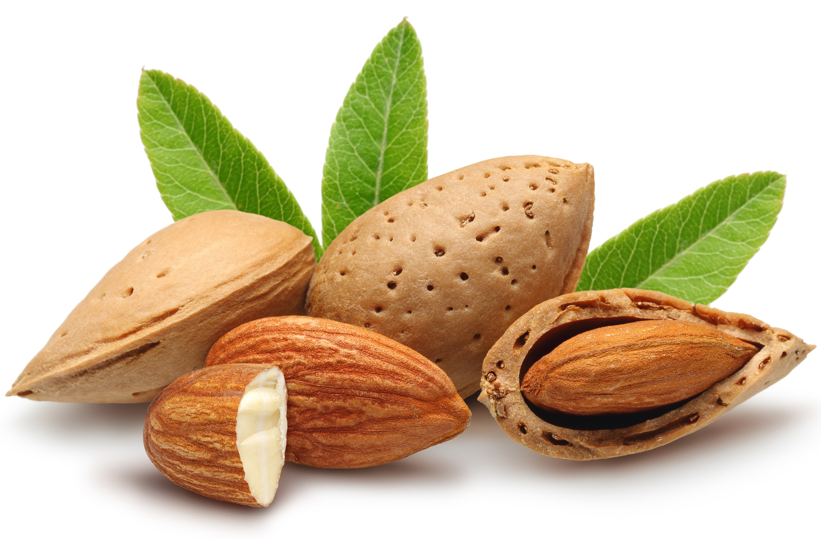 Cal Prune & Nuts, LLC