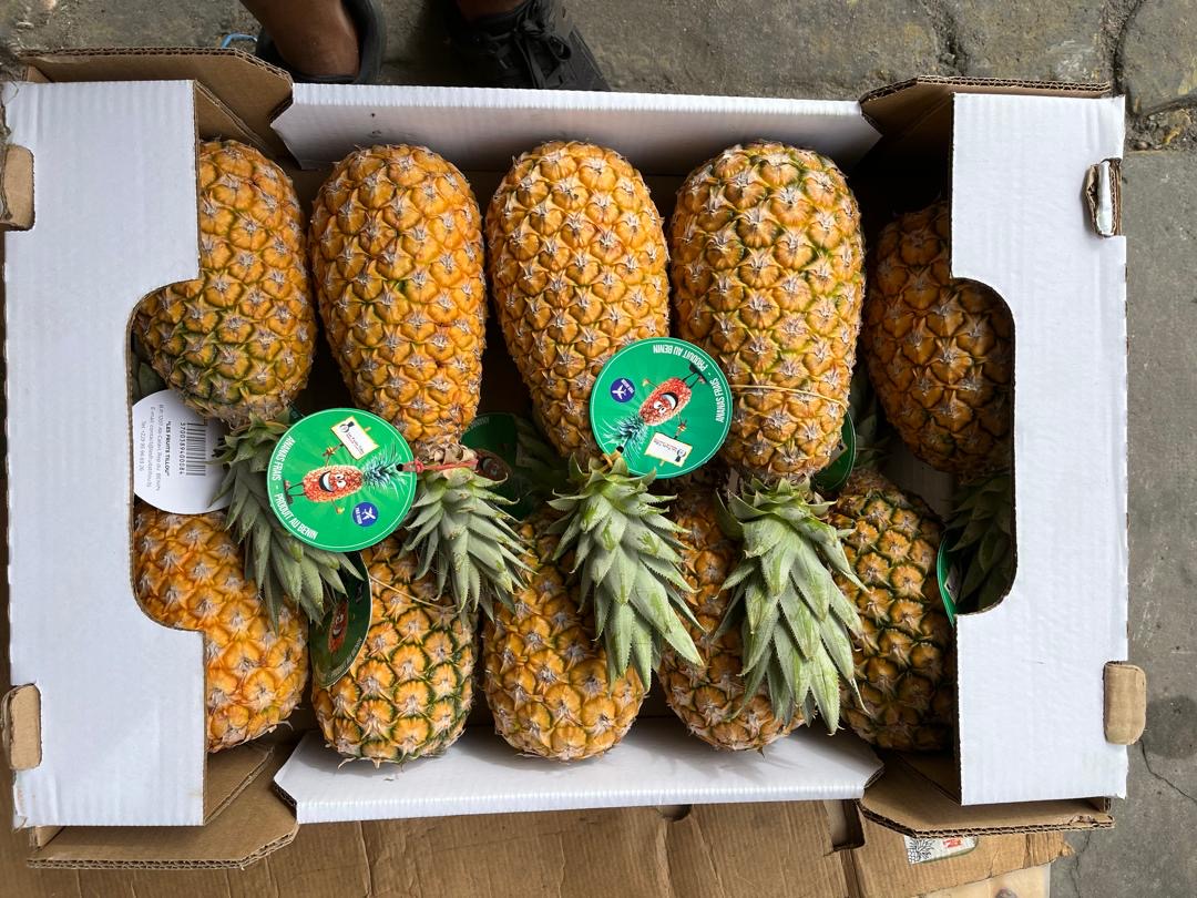 Pain-de-Sucre-Bénin#kodra-export 7.JPG