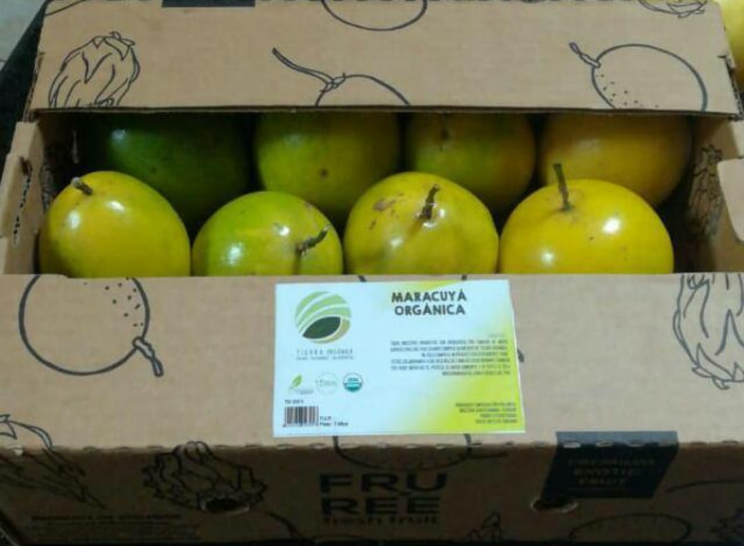 maracuya box.jpeg