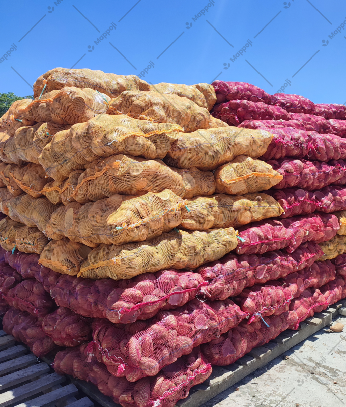 white-copra-img-05.png