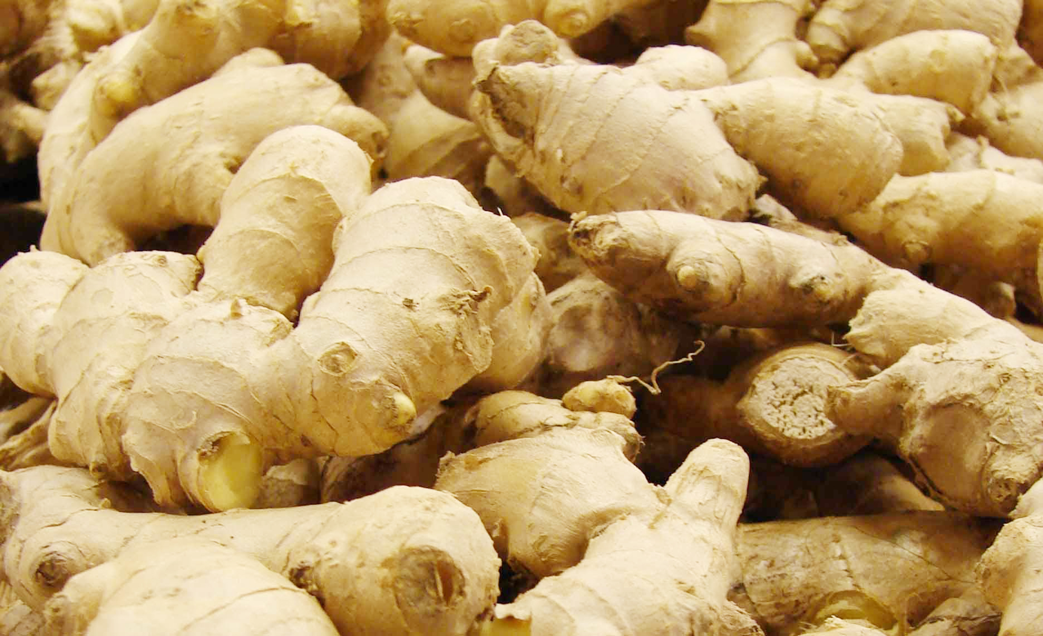 ginger2.jpg