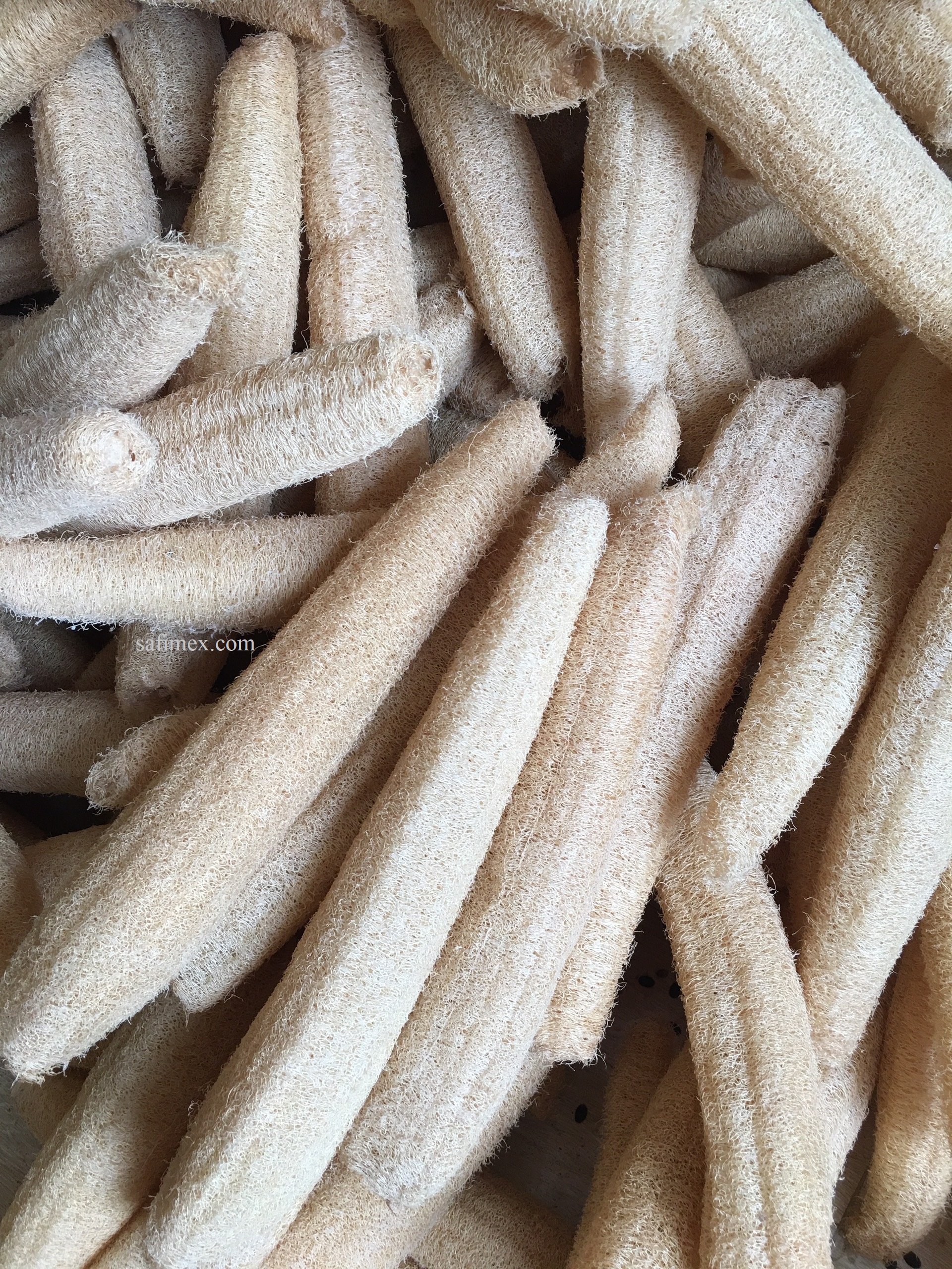 40-50cm loofah 1.jpg