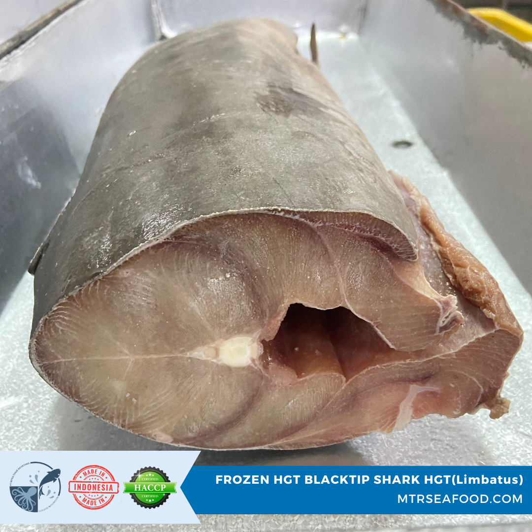 FROZEN SHARK FILLET.png