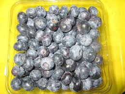 Agryforest LTDA - Berries