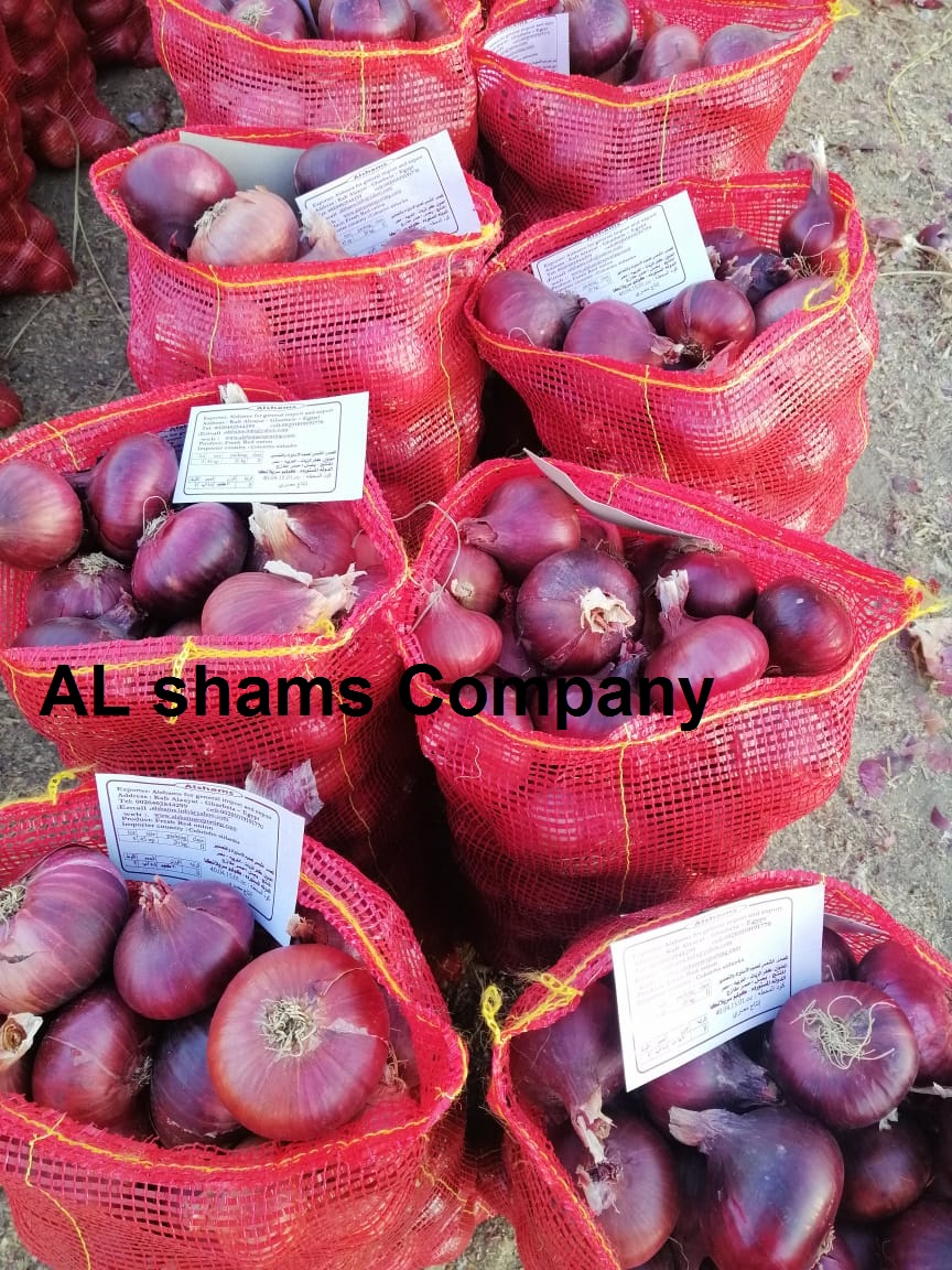 WhatsApp Image 2019-10-02 at 6.55.39 AM.jpeg