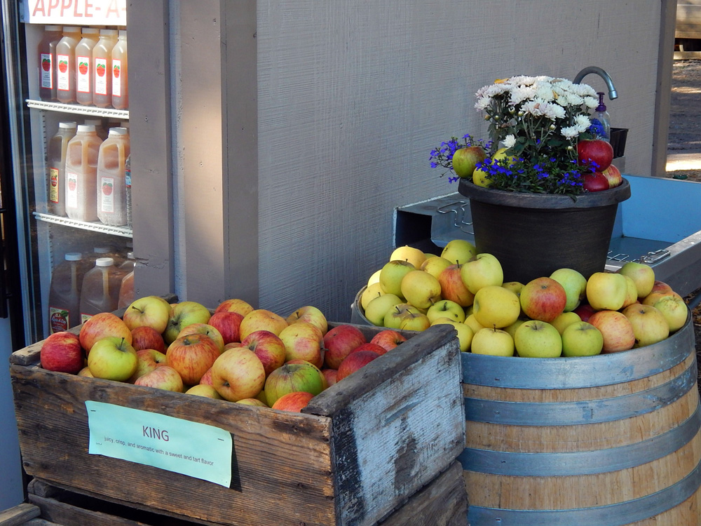 king-apples_1000px.jpg
