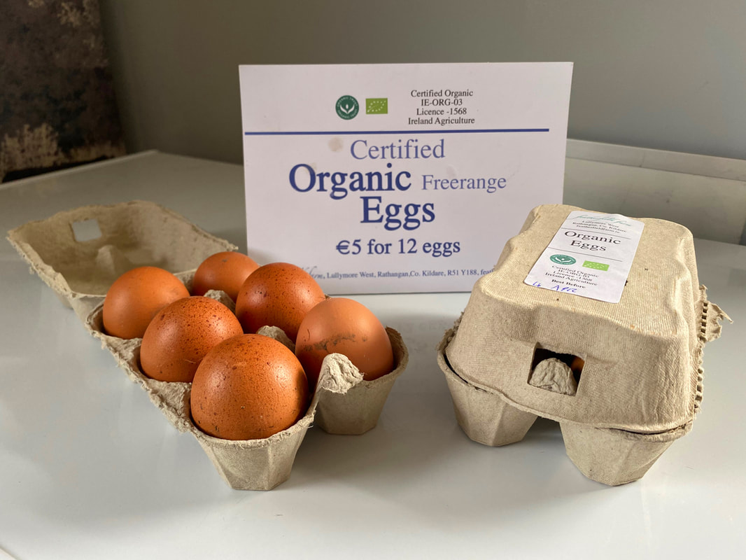 boxed-eggs-on-shelf_orig.jpg