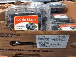 Exportadora Sol del Maule SPA - Packaged Product