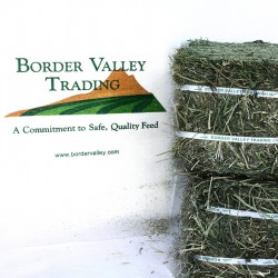 alfalfa-product_17c8afb53e50e9faec58a52ed1ca6a98.jpg